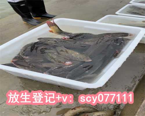 放生治病真的那么灵验，胡椒入药治病验方