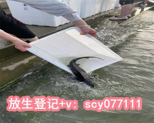 放生的时间最好，生辰对应的24小时时间