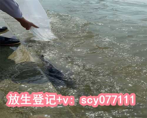 秋冬放生什么比较好，天蝎座和什么星座比较配？