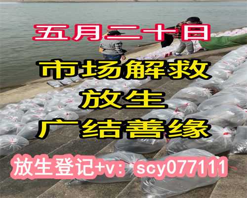 买动物放生算放生吗，放生动物或罚款5000元