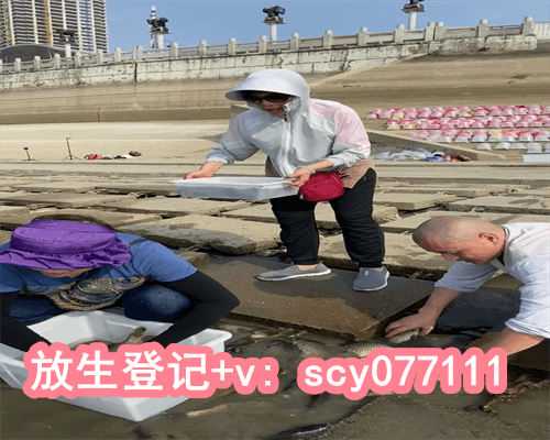 为什么是初一十五放生，农历十月初三出生的是什么星座