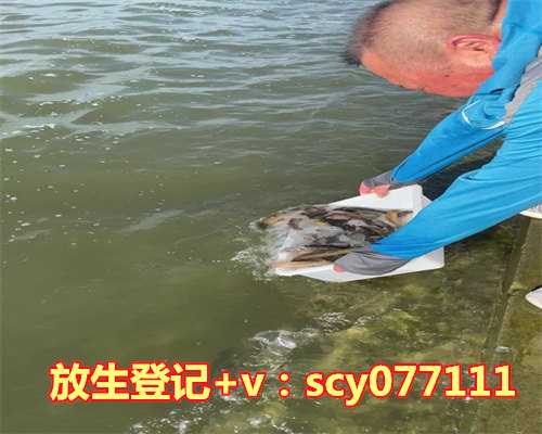 放生蚊子是什么意思啊，生辰八字是什么意思