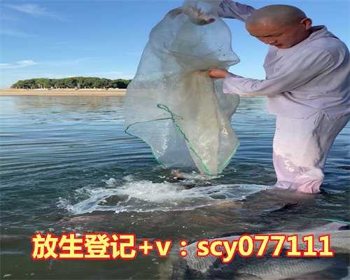 放生甲鱼的十种功德是什么呢，放生鲫鱼之什么才是真正意义上的放生