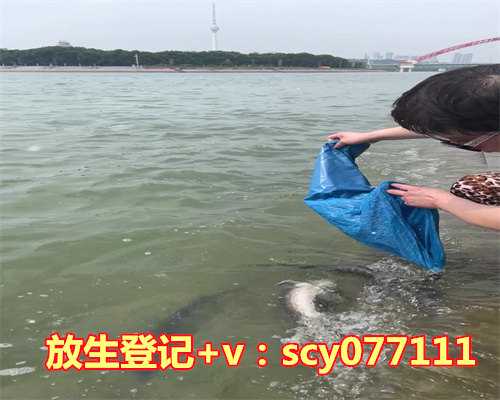 为死者放生有什么好处，放生，放什么好？