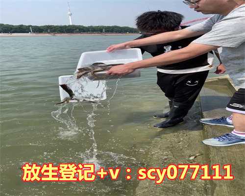 青岛何地可以放生石螺，青岛一家小企业为何能吸引社会各界纷纷前去讨教