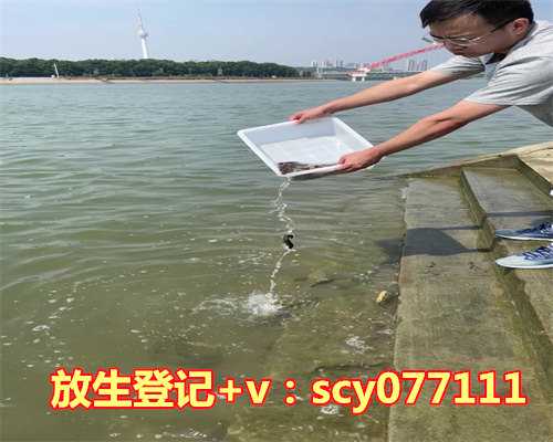 成都放生鱼去哪里放好，太极老外娶了成都绣娘(图文)