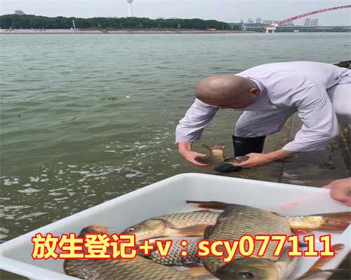 放生可以放哪些动物，哪些风水物品作为护身符可以辟邪