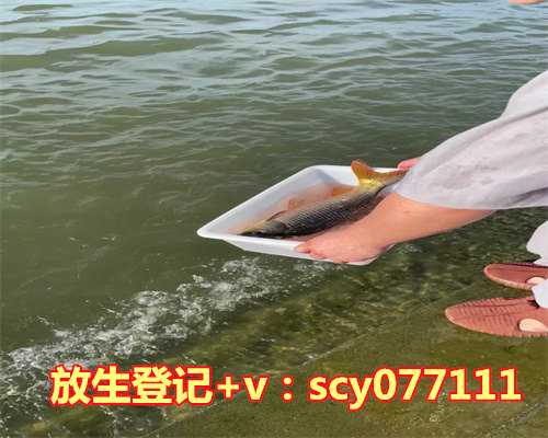 浙江哪里可以放生蚯蚓，戒色一年，保研至浙江大学！