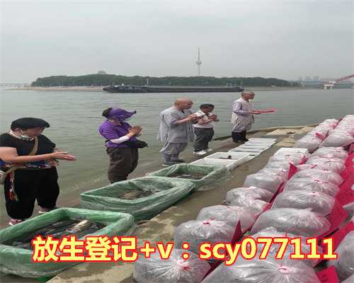 放生龟的功德与作用，黄豆的功效与作用