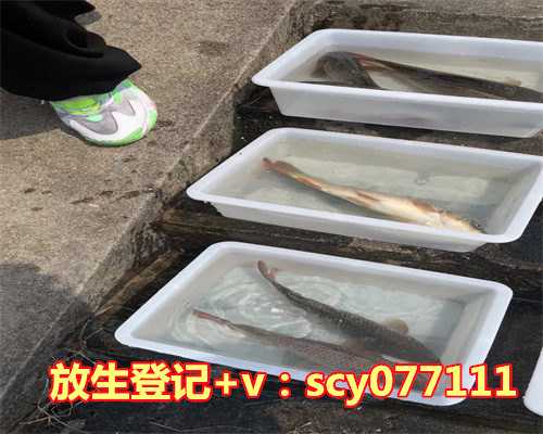 天冷还能放生吗冬天冷吗，夏天吃冷饮的九大禁忌