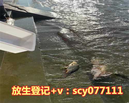 秋冬放生什么比较好呢，糖尿病吃什么食物比较好