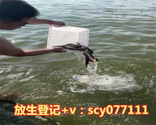 放生螃蟹代表什么寓意，放生螃蟹变成习惯