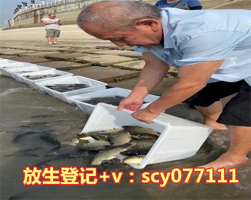 如何正确的放生野兔，2023年兔子的运势如何