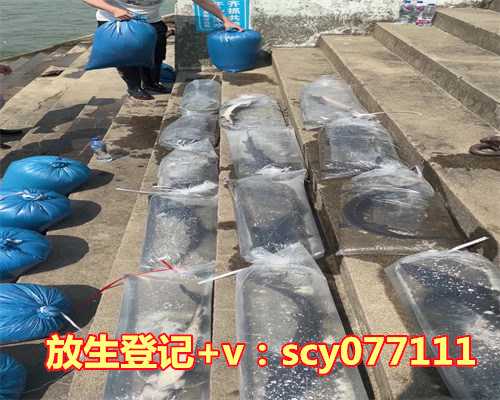 大连允许放生的水域，新疆13例，辽宁2例！大连进入战时状态