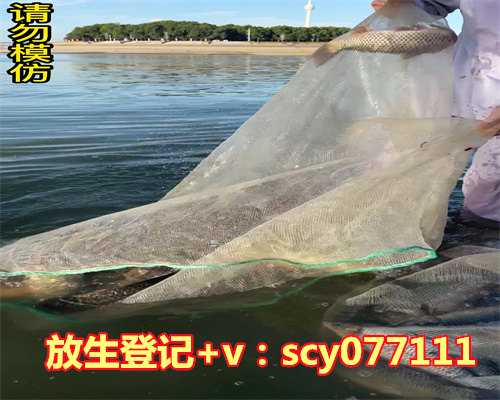 九龙江能放生的地点有几个，每个星座分别是几月几日到几月几日生的？