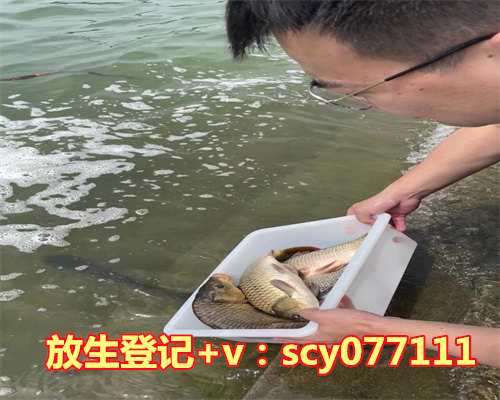 秋季放生，秋季男人养生进补药膳