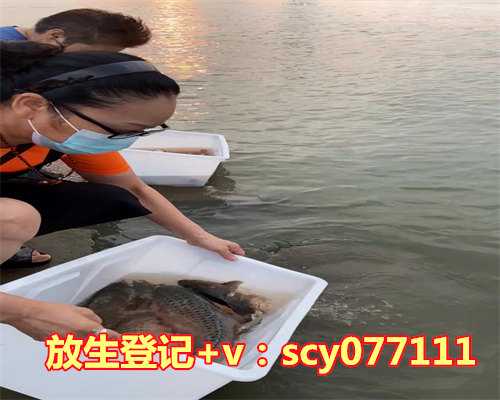 海口哪里可以放生蛙，海口的救狗工作