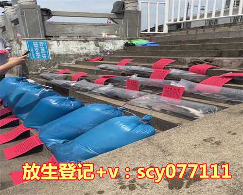 放生鸟的功德与作用，艾草的功效与作用