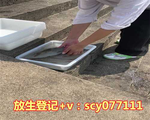 东莞蜈蚣去哪里放生，去过东莞观音山的，进…