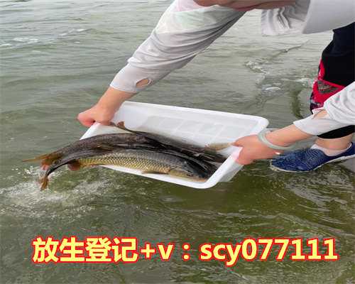 青岛市内放生池，青岛机场驱鸟用“八般武器”