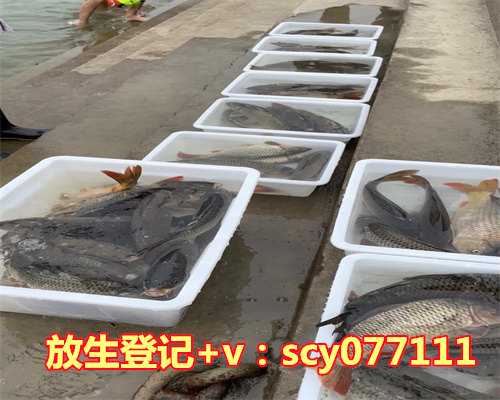 乌龟放生要刻自己名字吗为什么，养乌龟需要注意什么