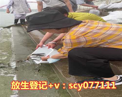 北京哪里放生野生甲鱼，老北京炸素丸子