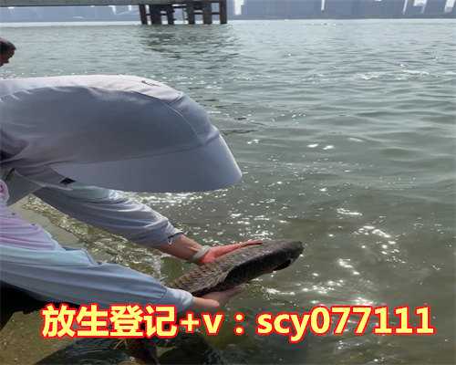 为什么不能买鱼放生，什么不能放生？