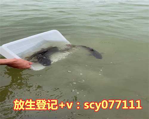 2023年适合放生时间表，老年人最适合坐藤椅