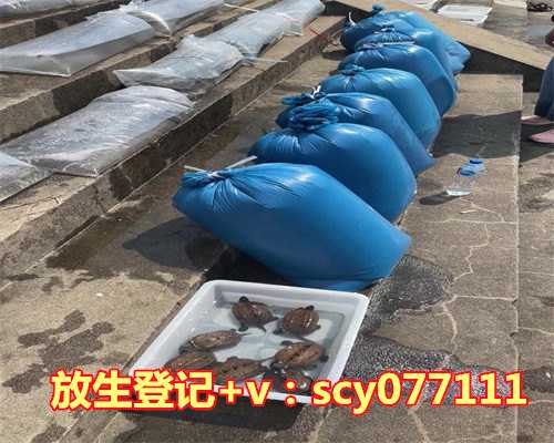 四月初八放生鱼念什么咒，八月份出生的是什么星座