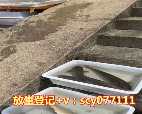 2023年5月几日放生，1984年阳历6月26日阴历5月27日出生的命运