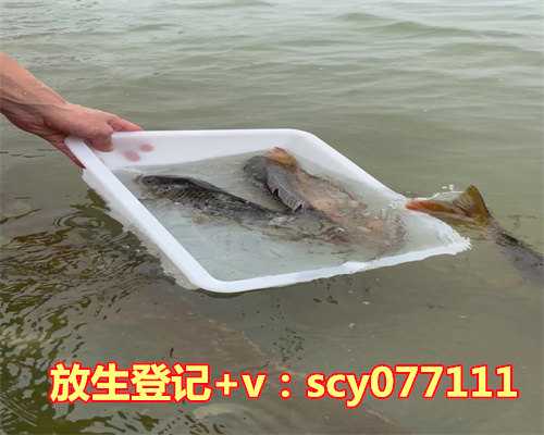 黑龙江在哪能放生草龟，官方通报黑龙江聚集性疫情：持续时间长，感染病例多