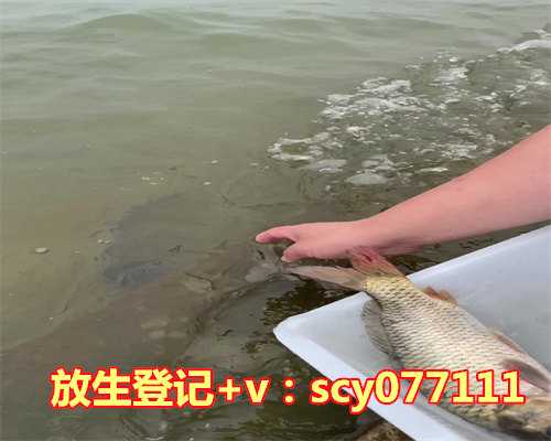 2023年放生时间有没有要求，2023年3月求财黄道吉日2023年3月哪天适合求财