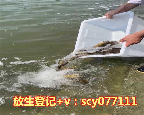 放生鱼后有人逮鱼好不好呀，男人梦见抓鱼不好应该怎么预防