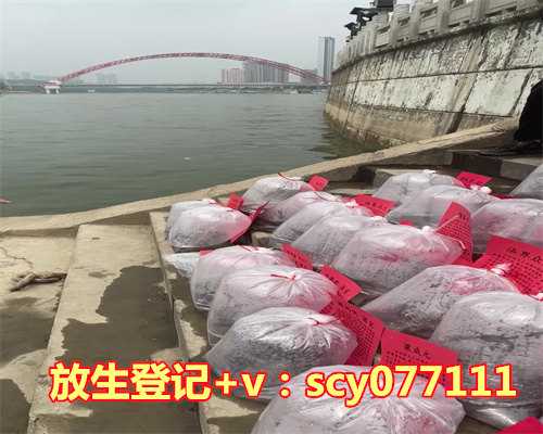 农历八月初一放生，黄历吉日查询2023农历12月初六日子怎么样