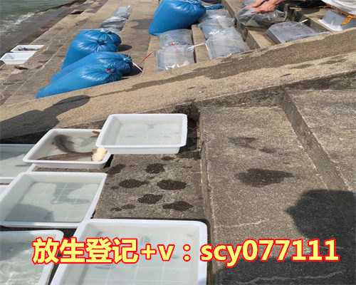 中国放生日是哪一天，不是天天混日子，也不是天天熬日子，而是天天享受日子