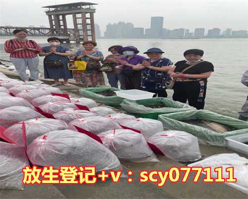 放生有讲究吗有讲究吗，吃水果变美人大有讲究