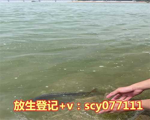 为母亲生日放生的语句，放生是为父母庆祝生日的最佳方式