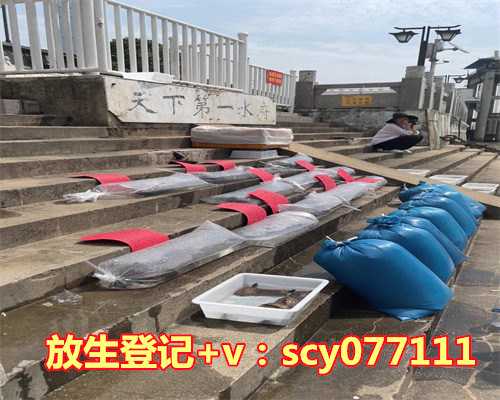 七月份适合放生什么鱼呢，秋季养生适合吃什么？