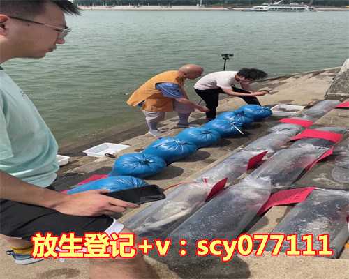 拿了不属于自己的兔子，然后放生了有因果吗，梦见自己的鞋丢了穿别人的鞋，