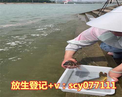 黄鳝放生到哪里最合适，拉丁舞适合哪种人群