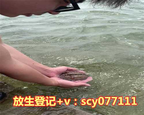 放生鱼念什么咒语好，什么鱼最好养：风水鱼