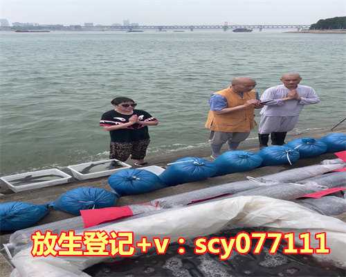 生日时放生有什么寓意，凤凰飞翔寓意是什么？