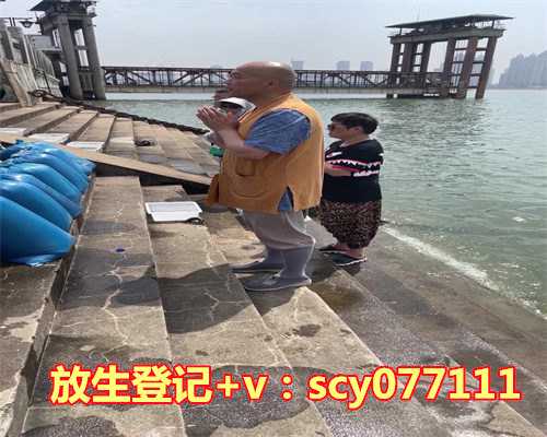 青岛哪里适合放生兔子，国家卫健委派工作组赴青岛