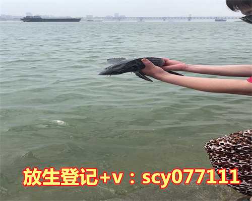 放生鱼唯美图片，鱼缸摆放位置风水图