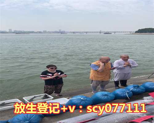 甲鱼啥日子放生好，出生日期最好的日子不吉出生日是哪一天