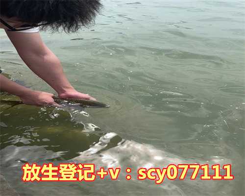 买了海里的螃蟹不知道怎么放生，儿子常常捉螃蟹