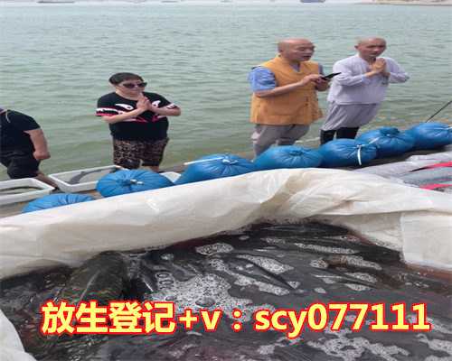 小乌龟可以放生么，乌龟代表什么寓意