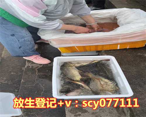 娃娃鱼放生河里可以吗，南充市民4000元为巨型娃娃鱼“赎身”并放生［图］