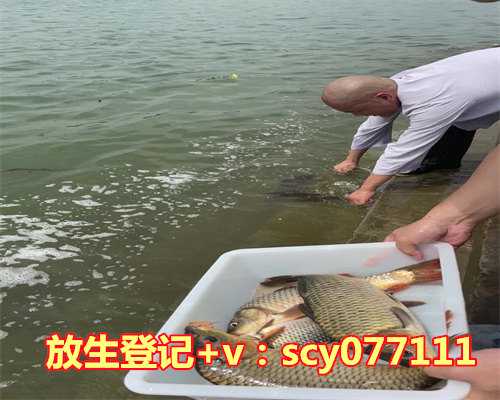 2023年放生日是哪一天几月几日，天蝎座是几月份生日啊拜托了各位谢谢