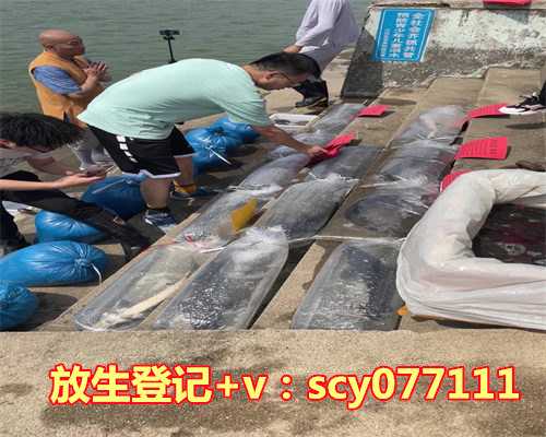 龟息法对身体有什么好处，吃龙眼有什么好处和坏处？